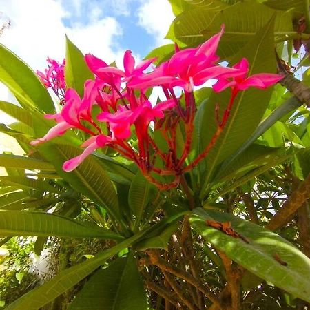 Beautiful 3 Bedroom Townhouse In Urb. Tropicana, Nerja Luaran gambar