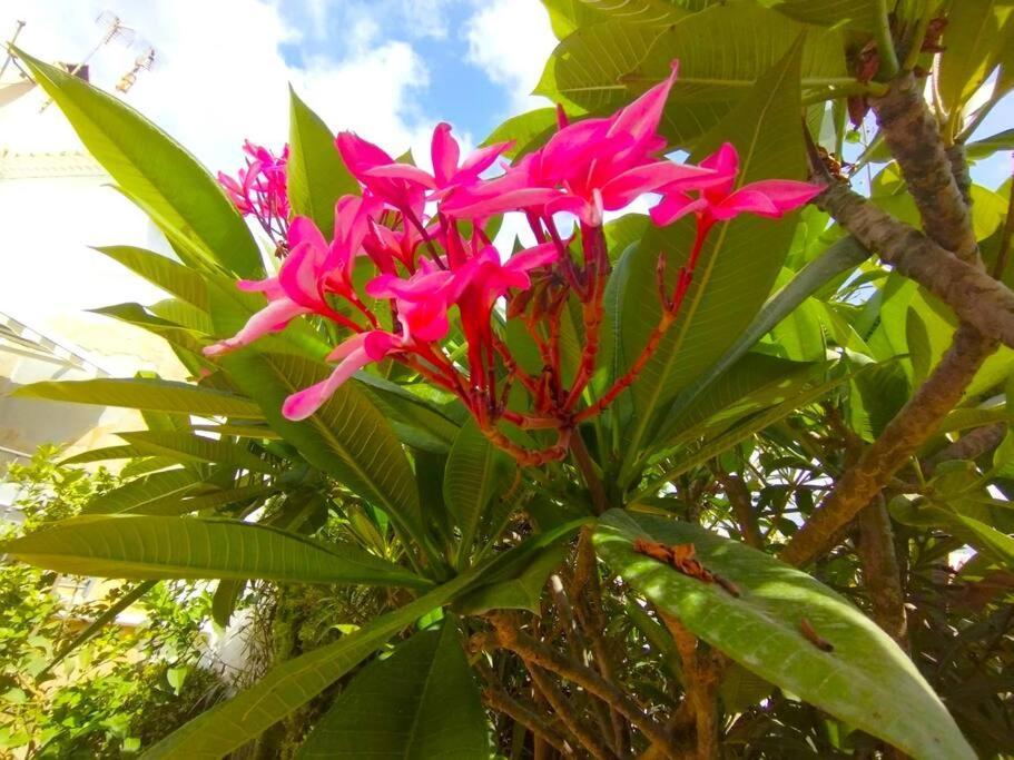 Beautiful 3 Bedroom Townhouse In Urb. Tropicana, Nerja Luaran gambar